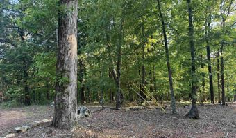0 DAVIS ACRES Dr 72 & 73, Alpine, AL 35014