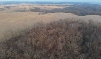197 Th Trl, Albia, IA 52531