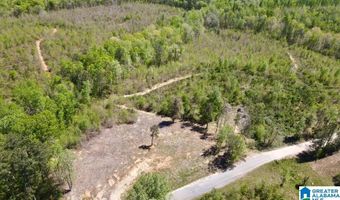 LANDFILL ROAD lot 1, Ashland, AL 36251