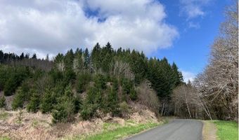 Northrup Creek Rd, Birkenfeld, OR 97016