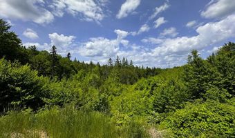 Lynburke Road lot 1 & Lot 2, Burke, VT 05871