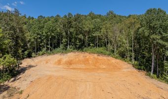 Lot 20 Clear Fork Creek Road, Bastian, VA 24314