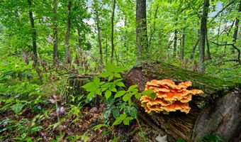 Lt3 County Road N, Arkansaw, WI 54721