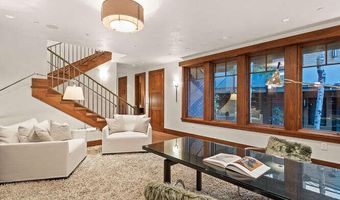 719 E Hopkins Ave 202, Aspen, CO 81611