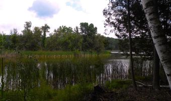 S Forest Lake, Alger, MI 48610