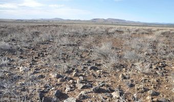 66 5129, Concho, AZ 85924