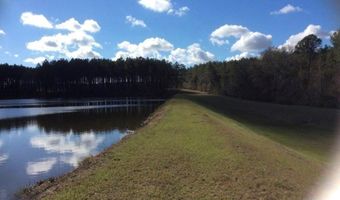 221 W 1st St, Arabi, GA 31712