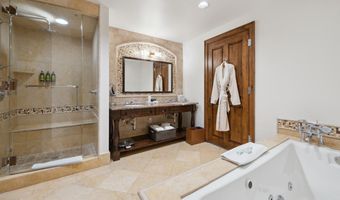 415 E Dean St. Unit 16 Week 9, Aspen, CO 81611