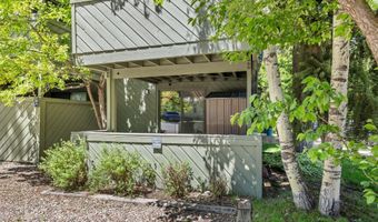 125 E Hyman Ave 1A, Aspen, CO 81611
