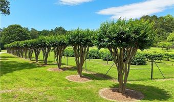 1103 Apple Pie Ridge Rd, Alto, GA 30510