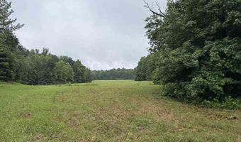 100 Acres Highway 34 W, Beech Grove, AR 72412