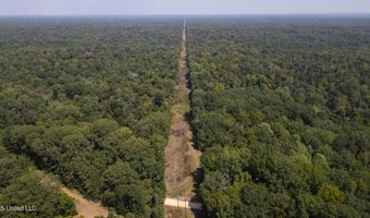 2233 Holloman Rd, Bentonia, MS 39040