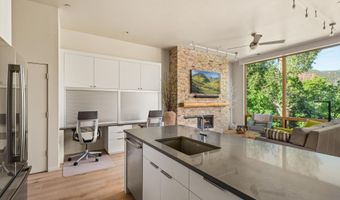 101 Willits Way 205, Basalt, CO 81621