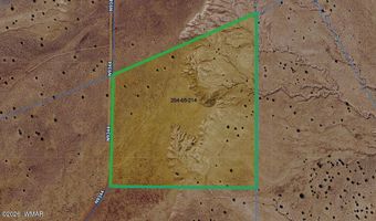 River Meadows Ranch lot 214, Concho, AZ 85924