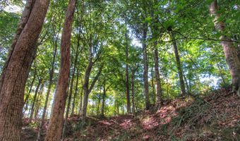 Anding Oil City Road, Bentonia, MS 39040
