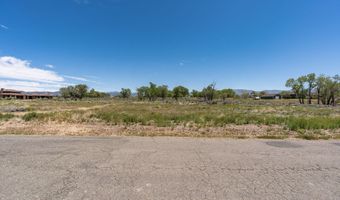 1655 Lombardy Rd, Gardnerville, NV 89410