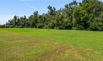 591 CR 215, Abbeville, MS 38601