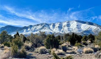 155 Oak Trail Cir, Cold Creek, NV 89124