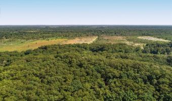 602 E Beverly Dr, Beverly Shores, IN 46301