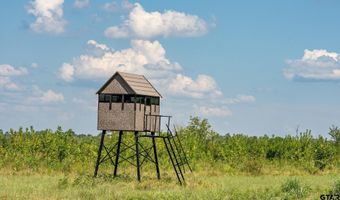 225 CR 3303, De Kalb, TX 75559