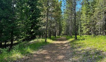 Kreiger Creek Rd, Careywood, ID 83809