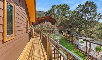 679 Pinon Dr, Basalt, CO 81621