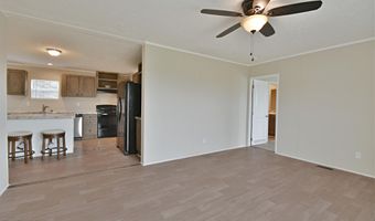323 Foster Rd, Blaine, TN 37709