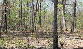 000 S Plainview, Anderson, MO 64831