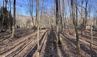 1361 Weaver Hollow Rd, Andes, NY 13731