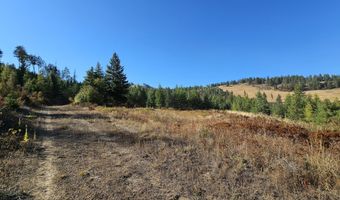 25 XX BURGESS Rd, Addy, WA 99101
