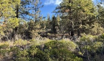 Hummingbird Dr, Bonanza, OR 97623