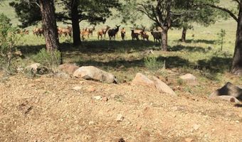 9 Buckskin Rd, Angel Fire, NM 87710