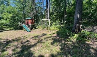 2690 LIEGL 20, Alanson, MI 49706