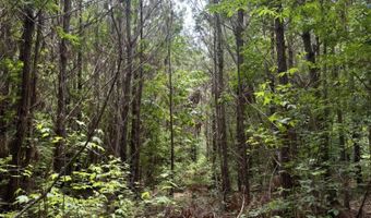 Geeville Road, Baldwyn, MS 38824
