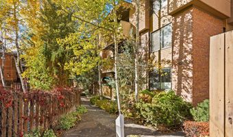 1020 E Hopkins Ave 9, Aspen, CO 81611