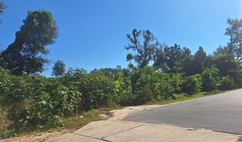 335 E 12TH St, Apopka, FL 32703