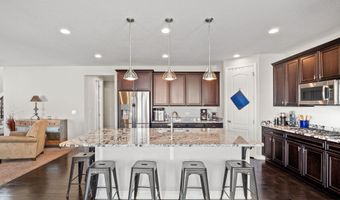 5173 Longs Peak St, Brighton, CO 80601