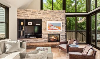 939 E Cooper Ave B, Aspen, CO 81611