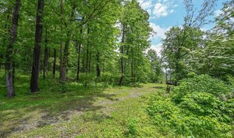 590 BEARFOOT, Accident, MD 21520