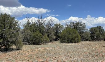 61 Norma Sw4 Rd, Ash Fork, AZ 86320