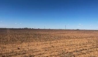 Farm To Market Rd 54, Abernathy, TX 79311