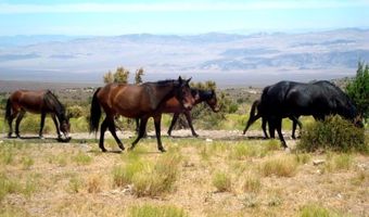 52 Birch Spring Rd, Cold Creek, NV 89124