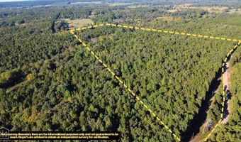 51 Shelton Rd, Bee Branch, AR 72013