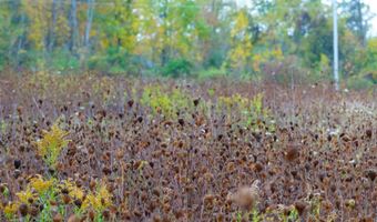 Lot 2 county AS Rd, Adell, WI 53001