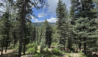 446 Skyline Dr, Bayfield, CO 81122