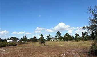 2510 W Butkus Rd, Avon Park, FL 33825