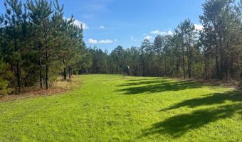 Wilburn Taylor Road, Buckatunna, MS 39322