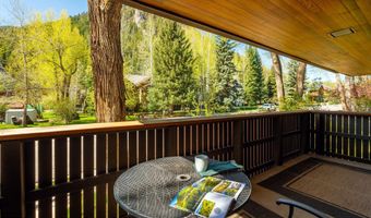 400 W Hopkins Ave 5, Aspen, CO 81611
