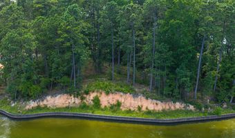 Luannes Point lot 36 68, Alexander City, AL 35010