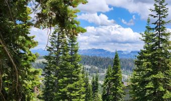 350 Snowshoe Rd, Bear Valley, CA 95223